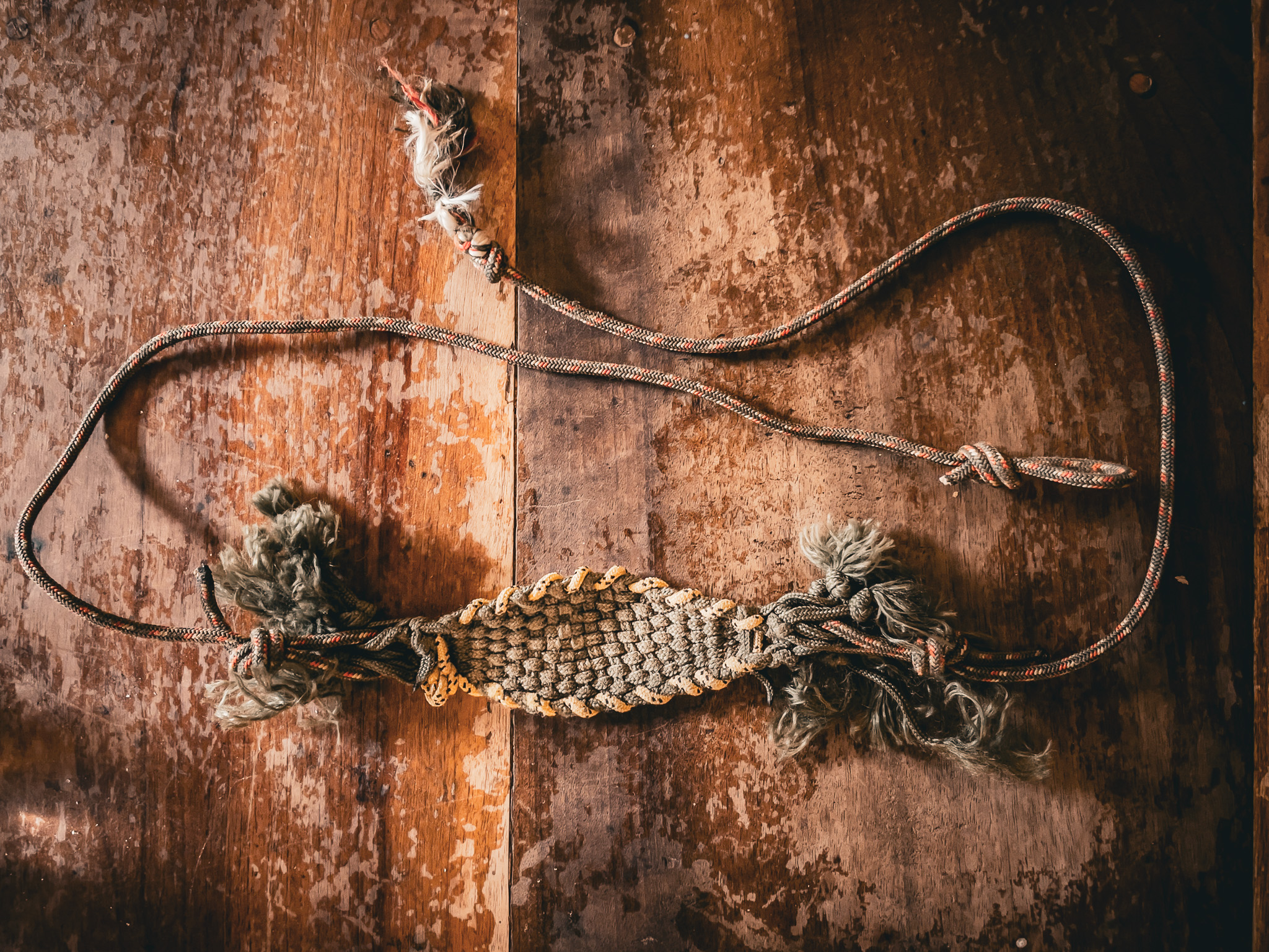 Réconcilier la tradition et la modernité