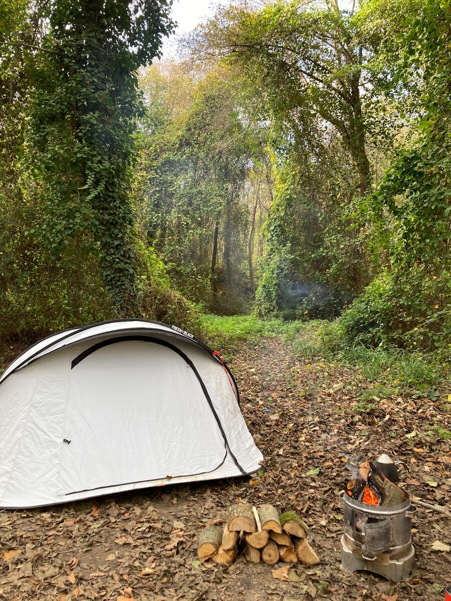 Stage de survie pour débutants : ce que personne ne vous dit vraiment
